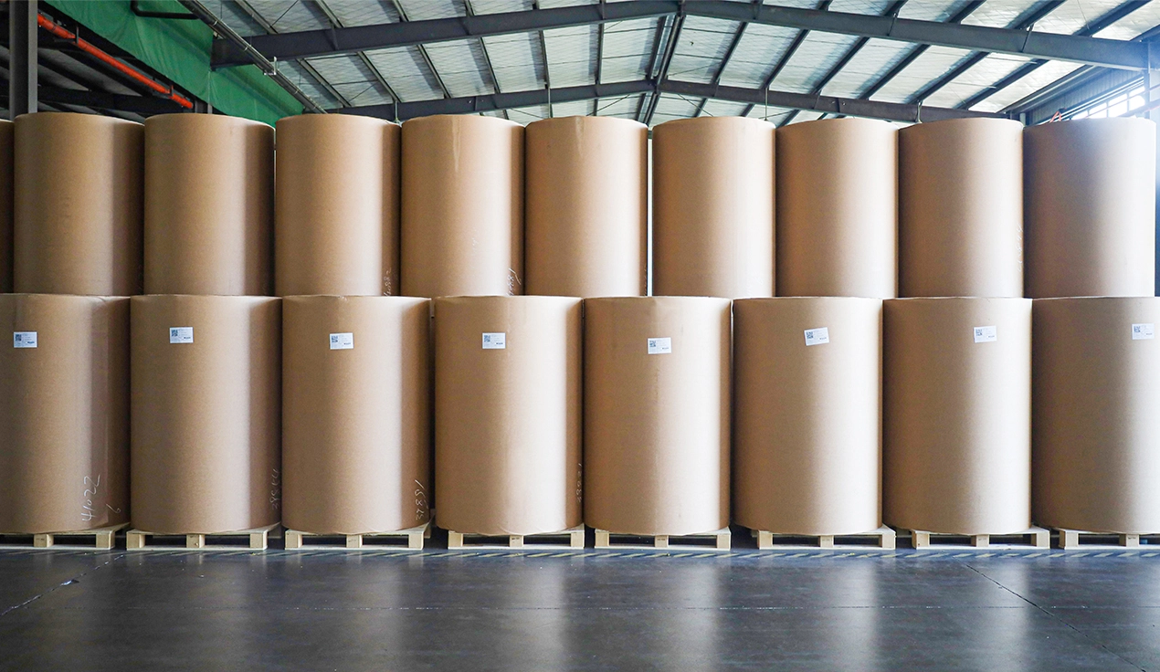 Coated Paper Jumbo Roll.webp
